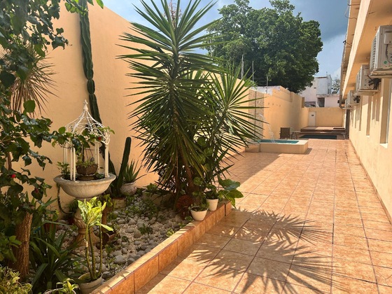 Gallery - Hotel Handall Cancun