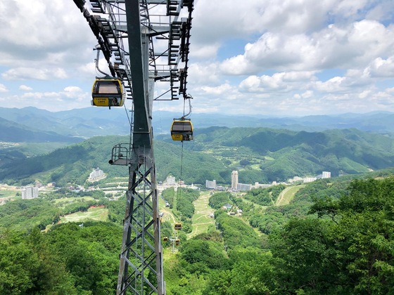 Gallery - Phoenix Resort Pyeongchang