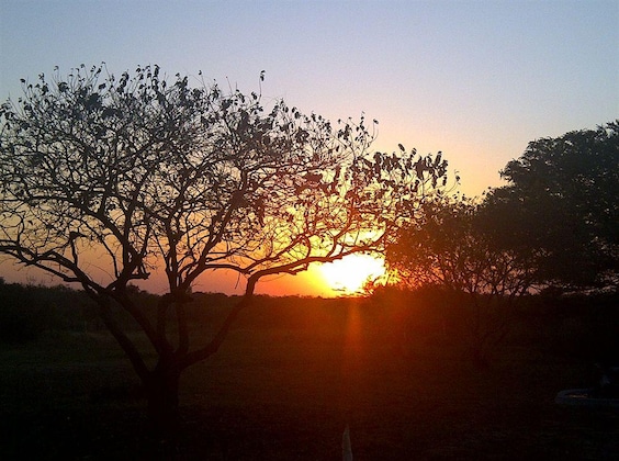 Gallery - Emdoneni Lodge