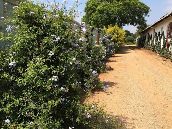 Gallery - Blue Mango Lodge