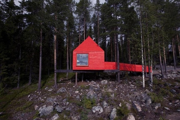 Gallery - Tree Hotel