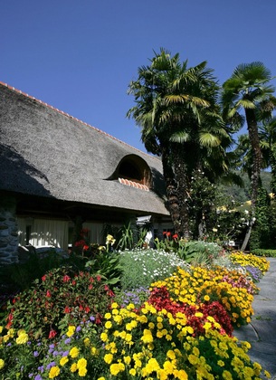 Gallery - Dépendance Albergo Losone