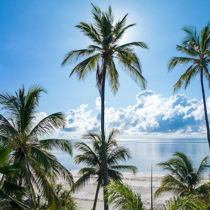 Gallery - Zoi Boutique Hotel Zanzibar Ex Sunshine Hotel