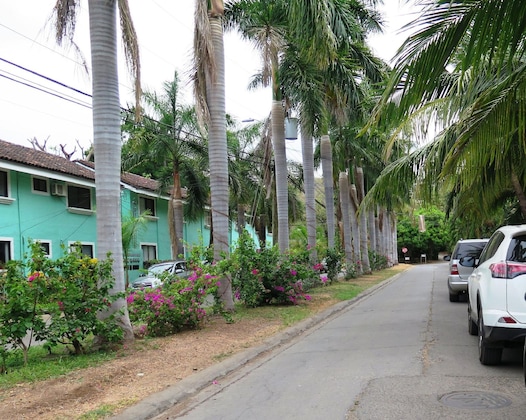 Gallery - Tropical Gardens