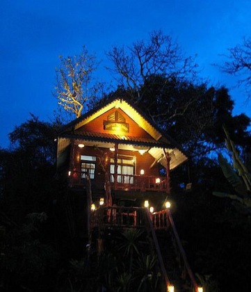 Gallery - Khao Sok Tree House