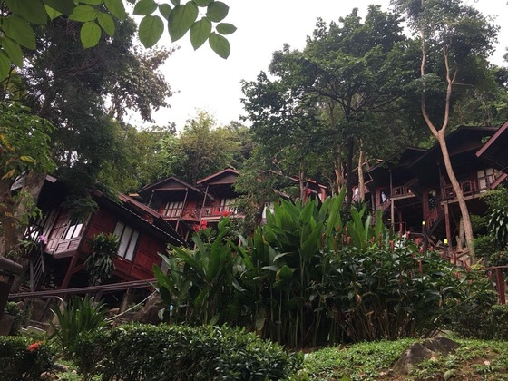 Gallery - Phi Phi Green Hill Resort