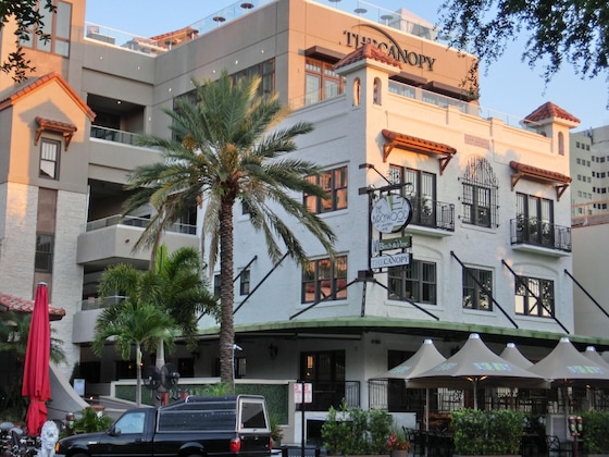 Gallery - The Birchwood