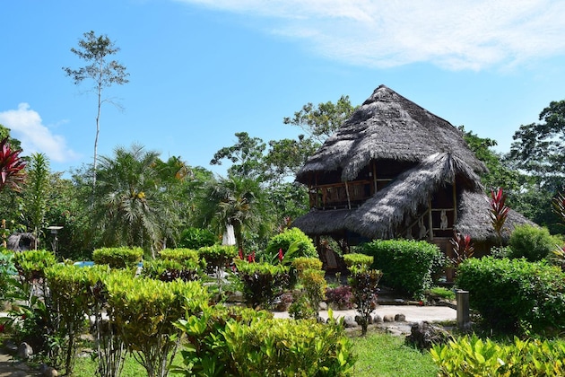 Gallery - Suchipakari Jungle Lodge