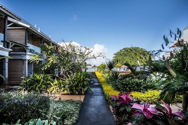 Gallery - La Mariposa