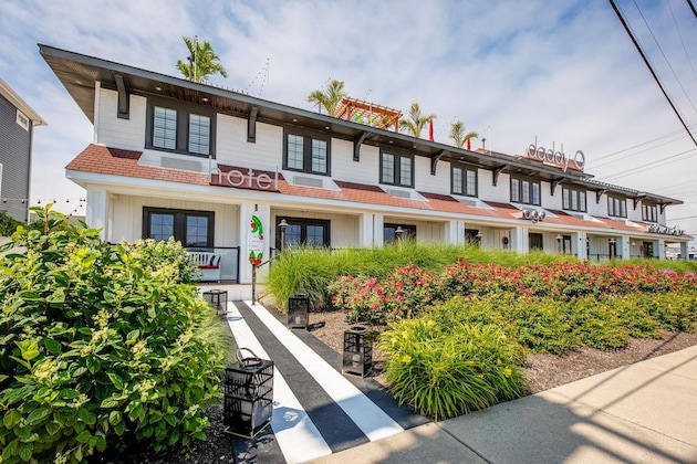 Gallery - Daddy O Hotel