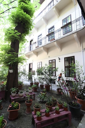 Gallery - Amber Gardenview Studios