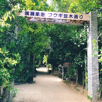 Gallery - Wisteria Condominium Resort