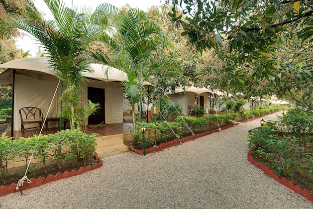 Gallery - Lion Safari Camp