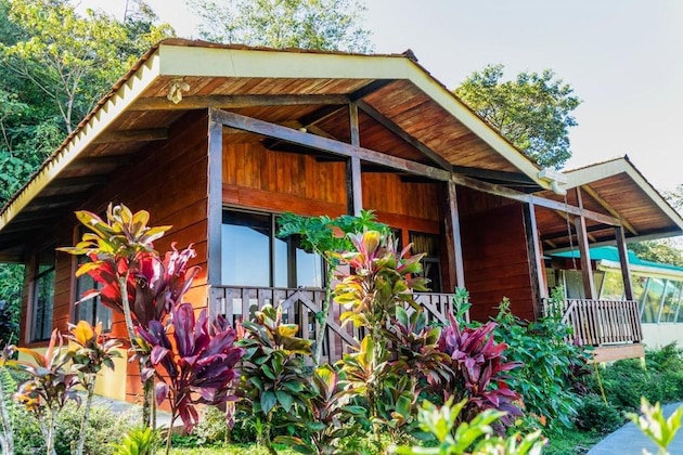Gallery - Heliconias Lodge And Rainforest