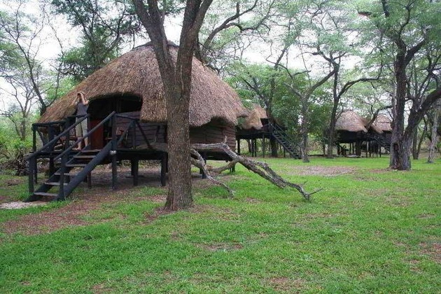 Gallery - Sikumi Tree Lodge