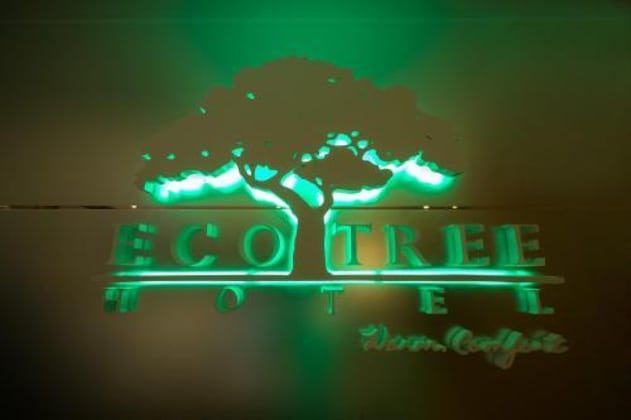 Gallery - Eco Tree Hotel