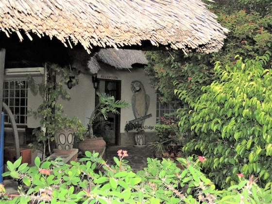 Gallery - Parrot Lodge
