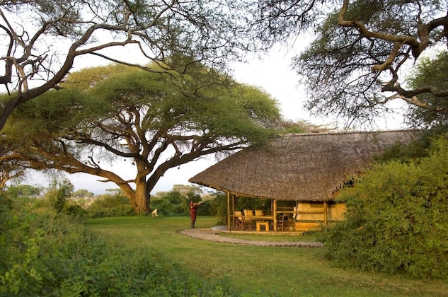 Gallery - Elewana Tortilis Camp