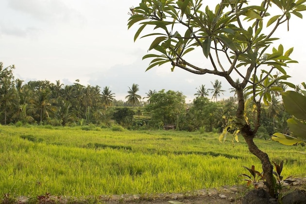 Gallery - Mesari Hotel Ubud