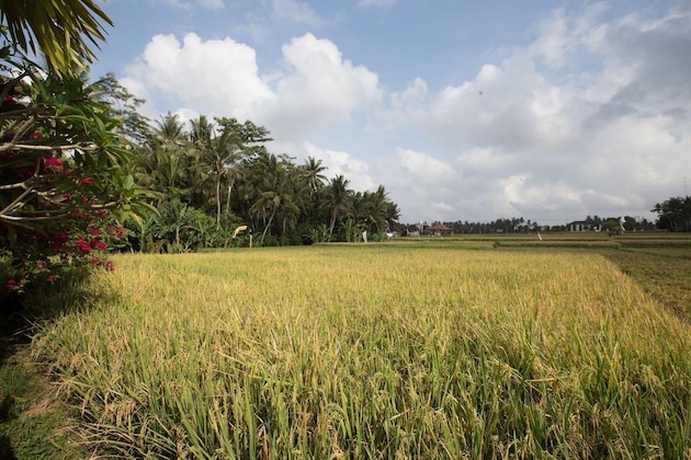 Gallery - Asri Sari Resort Ubud