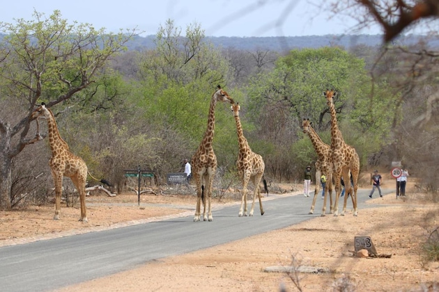 Gallery - Unembeza Boutique Lodge & Spa