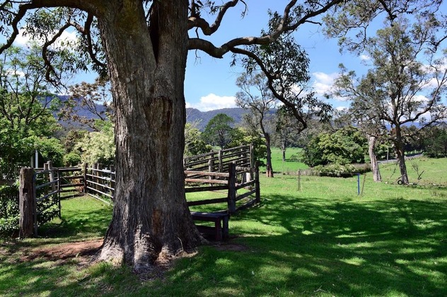 Gallery - The Laurels B&B Kangaroo Valley