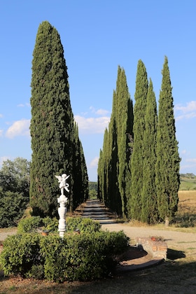 Gallery - Villa Albertina