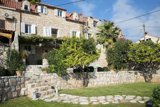Gallery - Villa Maslina