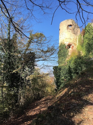 Gallery - La Maison Des Fontaines D'alsace