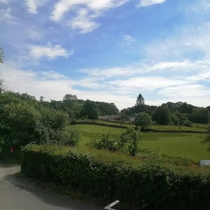 Gallery - The Brown Horse Inn