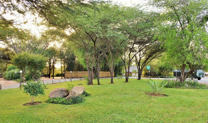 Gallery - Thebe River Safaris