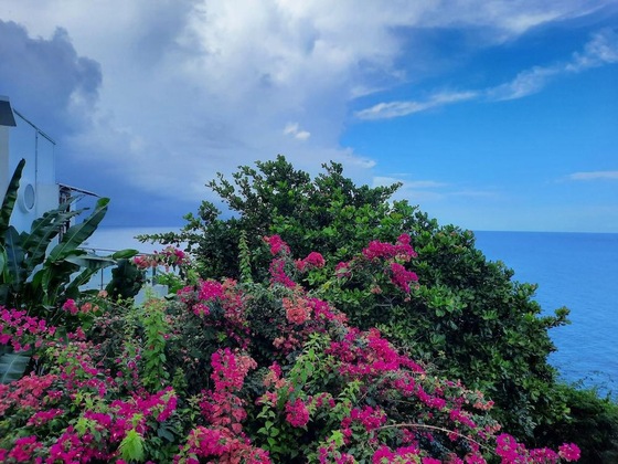 Gallery - Villa Being - Tobago Luxury B&B
