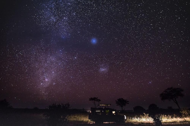 Gallery - Elewana Tarangire Treetops