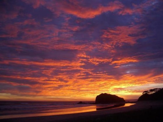 Gallery - Playa Grande Surf Camp