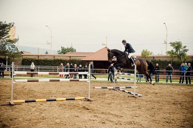 Gallery - Pension Zwicker
