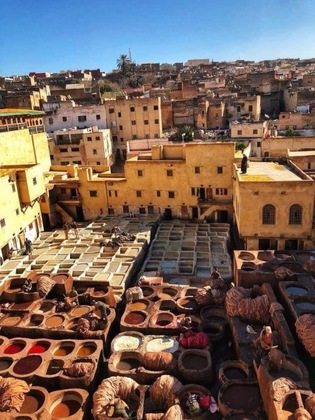 Gallery - Riad Scalia