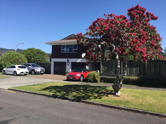 Gallery - Rotorua B N B On Sumner