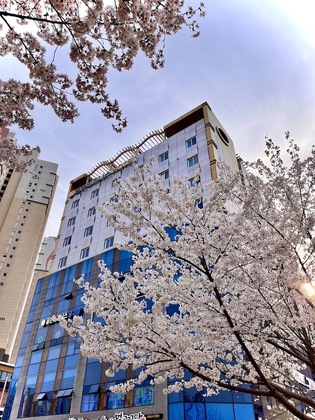 Gallery - Golden Business Hotel