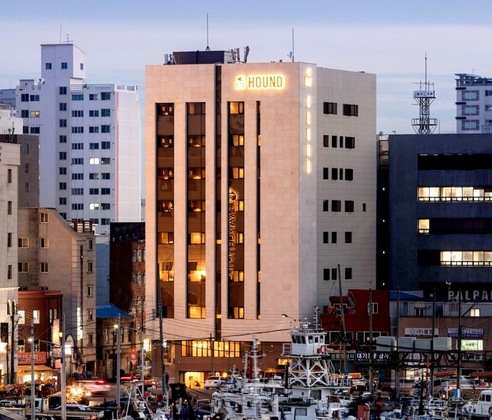 Gallery - Bay Hound Hotel