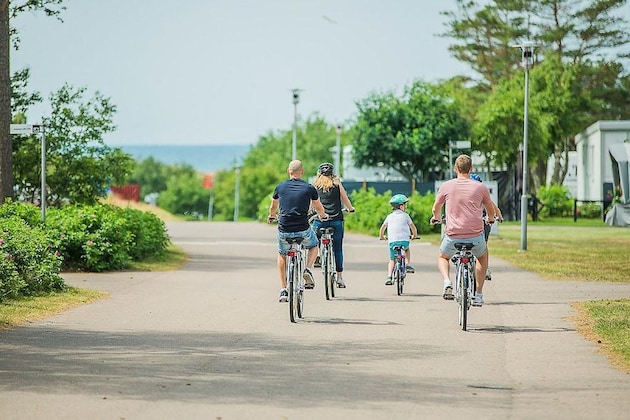 Gallery - First Camp Tylösand