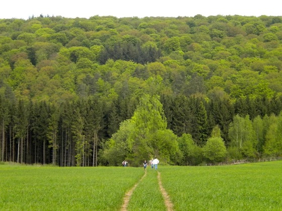 Gallery - Auberge Du Sabotier