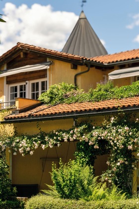 Gallery - Albergo Losone