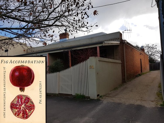 Gallery - Fig Cafe And Accommodation