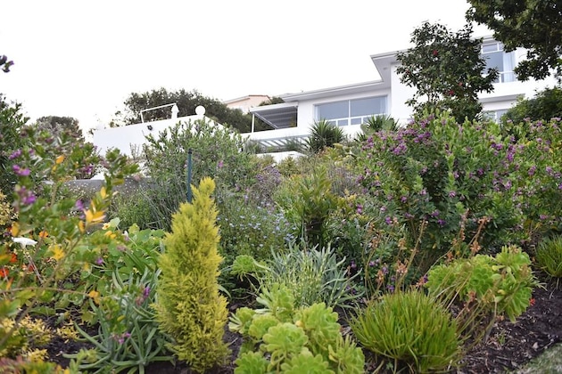 Gallery - Vilacqua Boutique Guest Villa