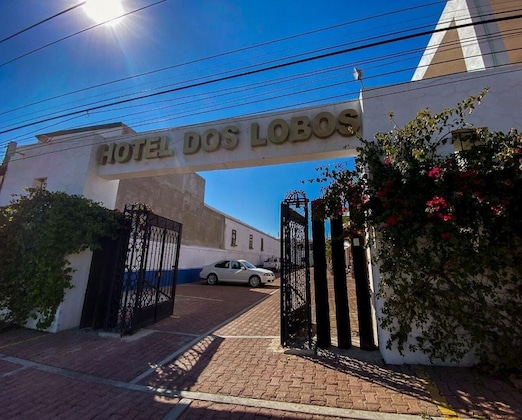 Gallery - Dos Lobos