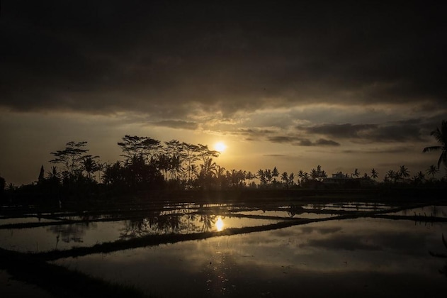 Gallery - Kabinawa Ubud Villas And Cafe
