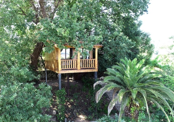 Gallery - Quinta Do Padrao