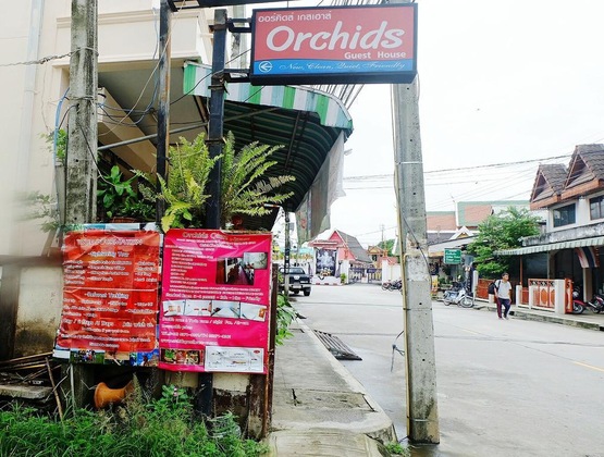 Gallery - Orchids Guesthouse