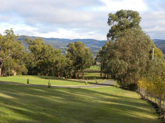 Gallery - Huon Valley Eco Wilderness Retreat
