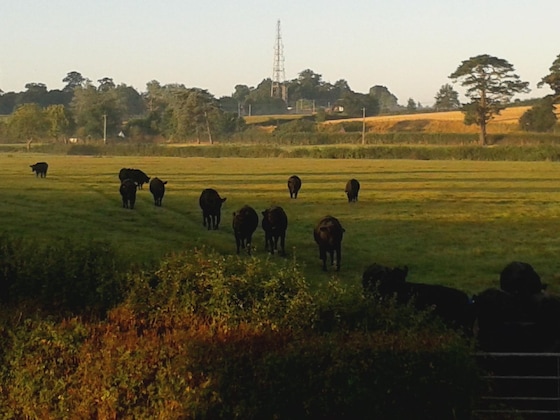 Gallery - Courtbrook Farm